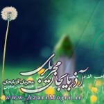 السلام ای صاحب الامر